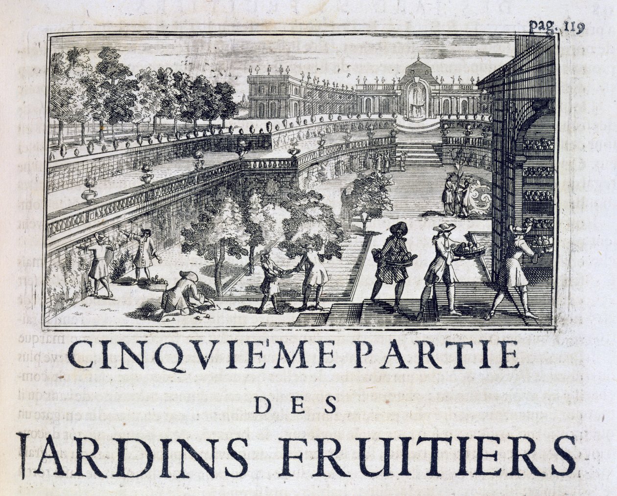 Le Parfait Jardinierからの果樹の植え付け、またはJean de la Quintinyeによる1659年出版のLes Jardins Fruitiers et Potager 作： フランス語学校