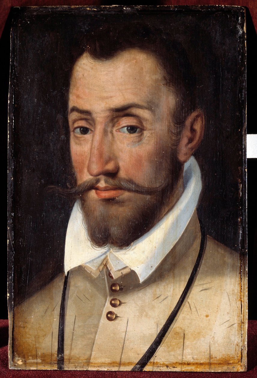 フランソワ・ド・コリニー（アンデロー家の領主、歩兵大佐）の肖像（1521-1569年） フランス派の絵画 作： フランス語学校