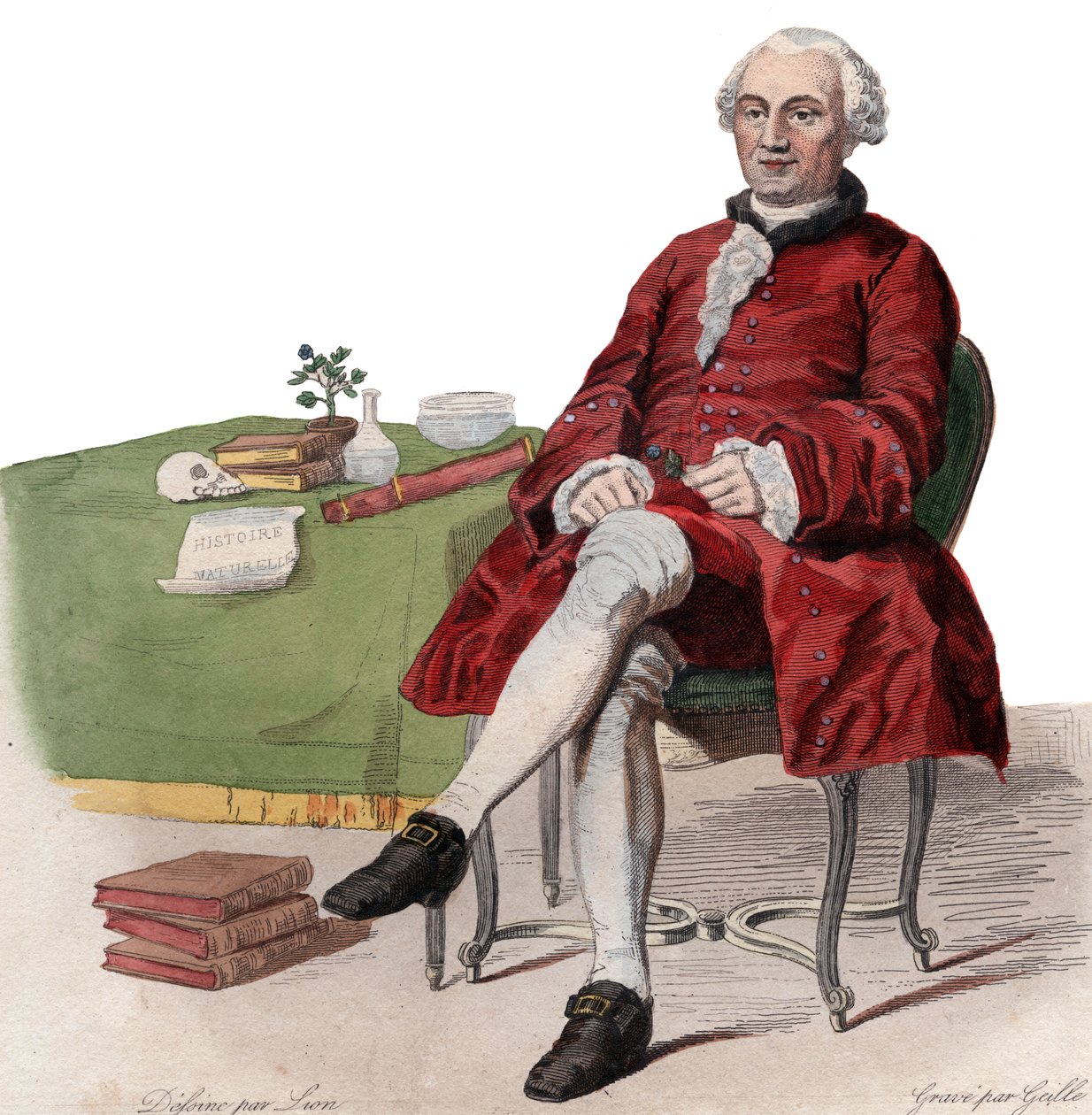 フランスの博物学者、ジョルジュルイルクレール、コントドブッフォン（1707-1788）の肖像。 作： フランス語学校