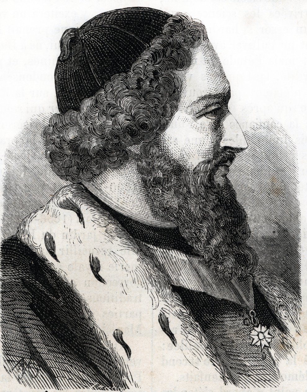 ジョセフ・ピトン・ド・トゥルヌフォール（1656-1708）の肖像（エングレーヴィング 作： フランス語学校