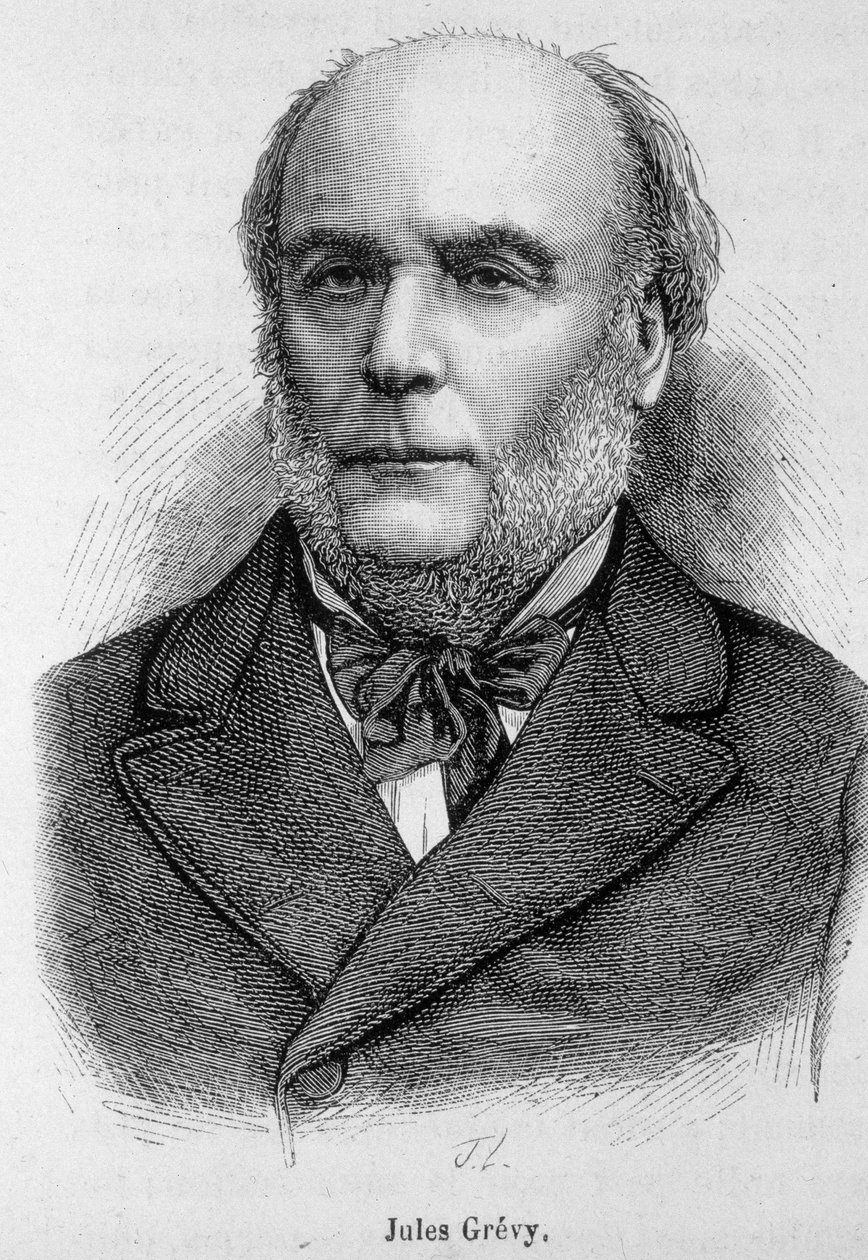 フランスの政治家、ジュール・グレヴィ（1807～1891）の肖像 - アンリ・マルタンの「L
