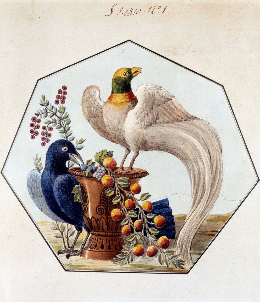 アレクサンドル・ブロンニャール（1770-1847）による磁器製の鳥のテーブルのプロジェクト。1810年 セーブル、マニュファクチュール・ド・セーブル社のアーカイブ 作： フランス語学校