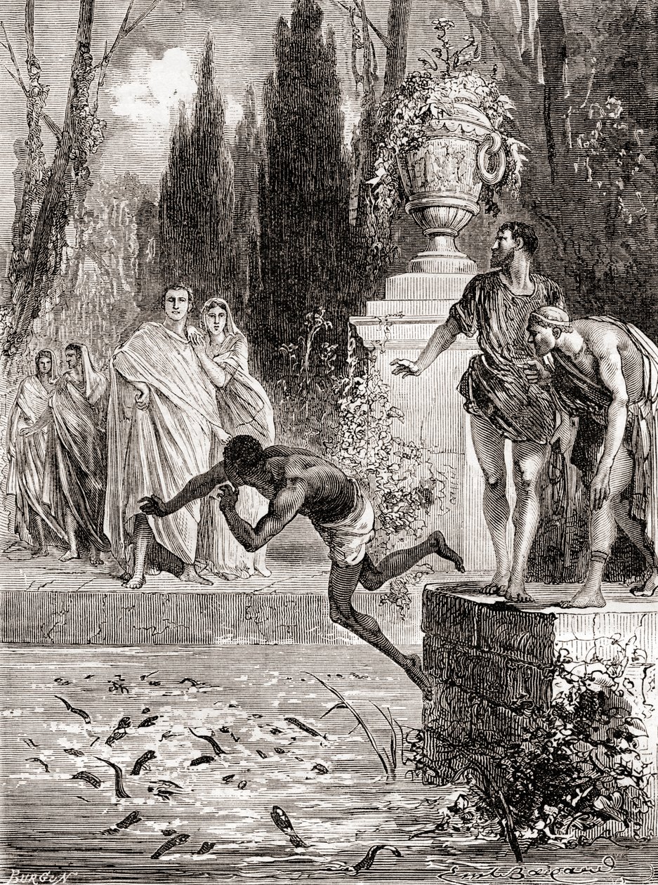 1870年頃に出版された、Les Merveilles de laScienceのヤツメウナギに奴隷を養うローマの乗馬者PubliusVedius Pollio 作： フランス語学校