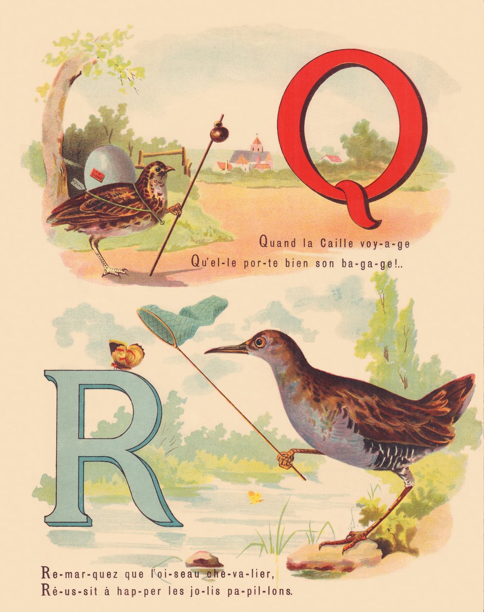 Q：ウズラ、クイナ 作： フランス語学校