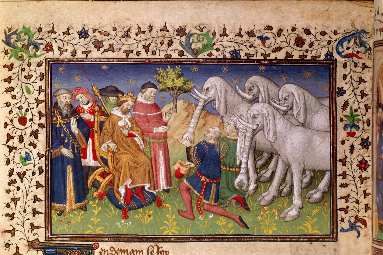 ロイヤル 20 B. XX、fol.82v、アレクサンダーに白い象を贈る、「La Vraye Histoire du Bon Roy Alixandre」より (ベラム) 作： フランス語学校