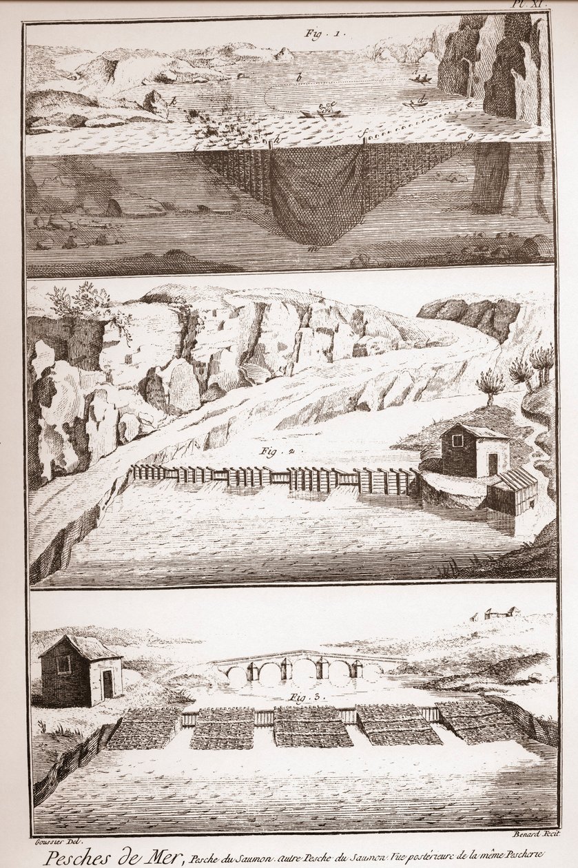 鮭の釣り方-Denis Diderot(1713-1784)とJean d