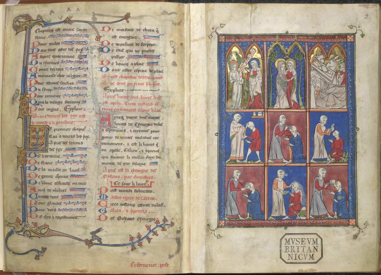 Sloane 1977,f.2 The Chirurgia: Biblical and Medical Scenes 聖書と医療の場面 作： フランス語学校