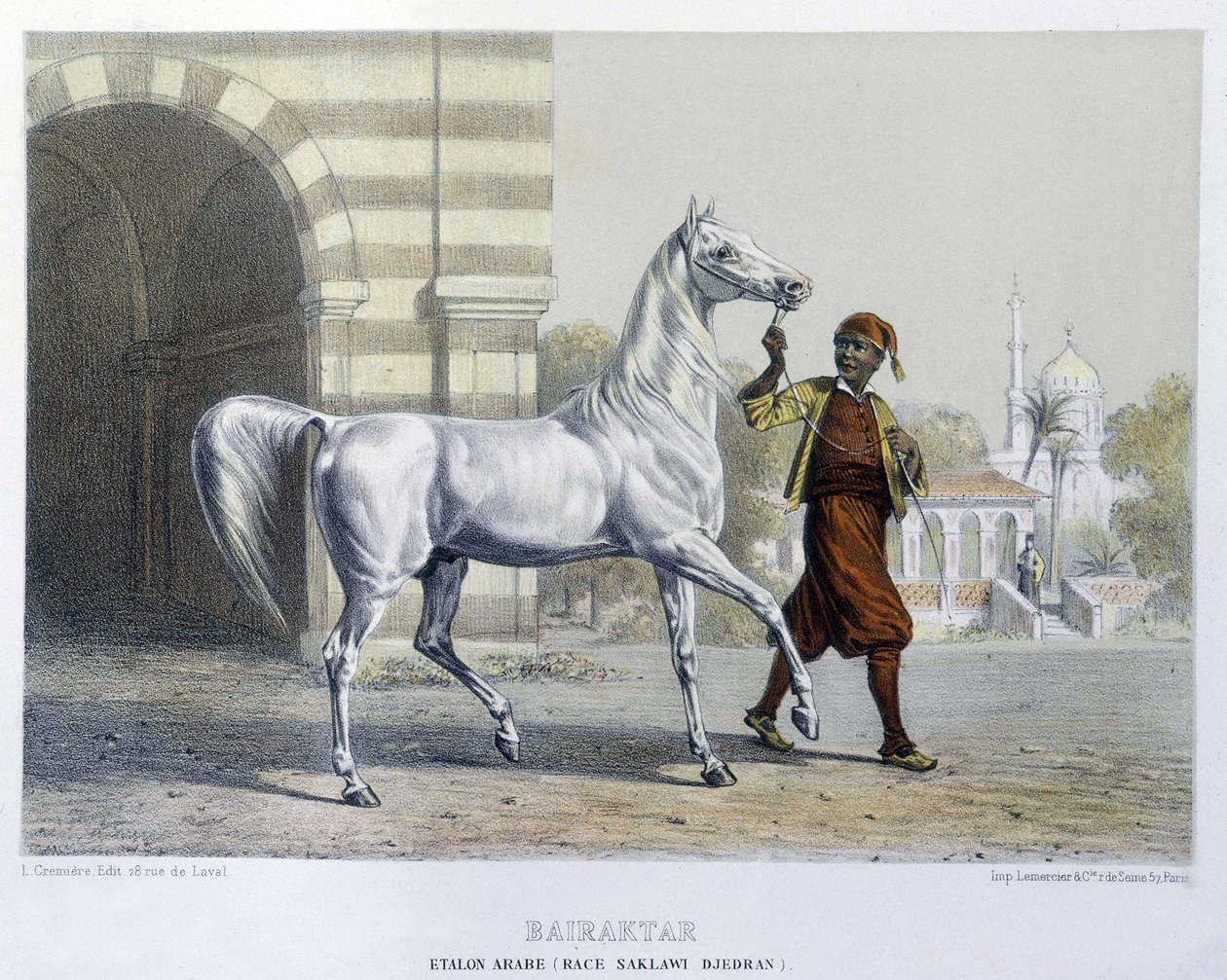 Stalon arabe, Bairaktar 作： フランス語学校