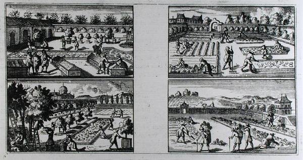 1704年頃に出版されたジャン・ド・ラ・カンティニーの「The Compleat Gard