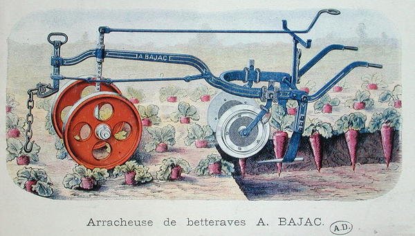 1900年頃、ビートルートを持ち上げるためのバジャック・マシン（カラー図版） 作： フランス語学校