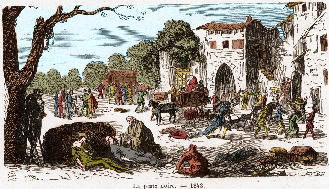 1348年の黒死病。ポール・ルージュール著『フランス百年史』（1891年）に掲載された版画。 作： フランス語学校