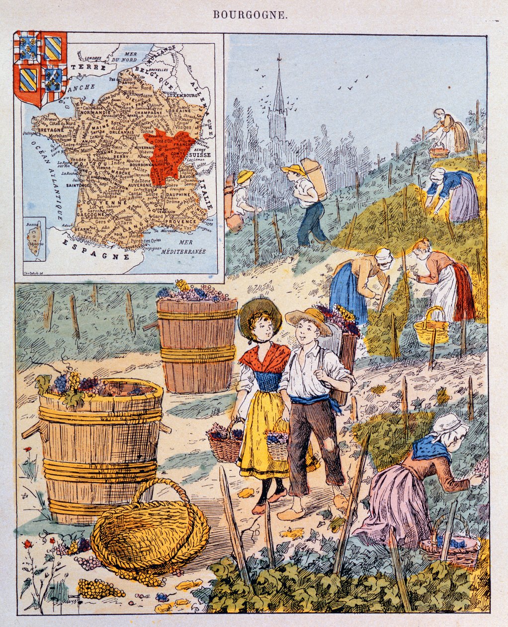 ブルゴーニュのブドウの収穫、学校の教科書、1910年頃のイラスト 作： フランス語学校