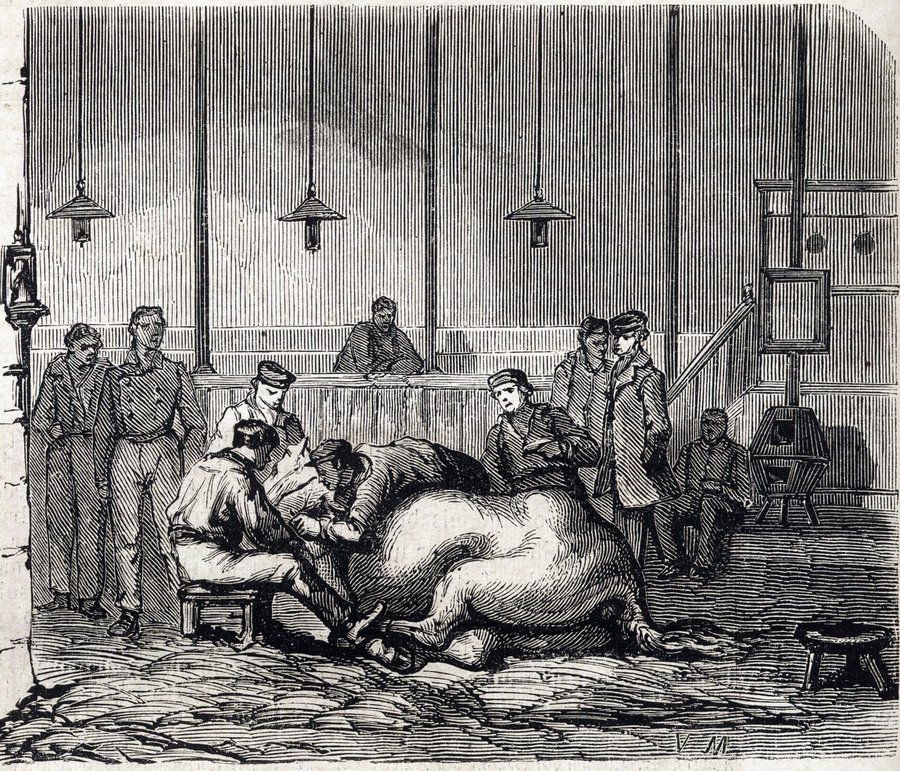 アルフォートの国立獣医学校 - Les grandes écoles de france - école veterinaire de maison alfort en 1866 - la salle de dissection - 1866年の「Le monde illustrious」に掲載されたエングレーヴィング。 作： フランス語学校