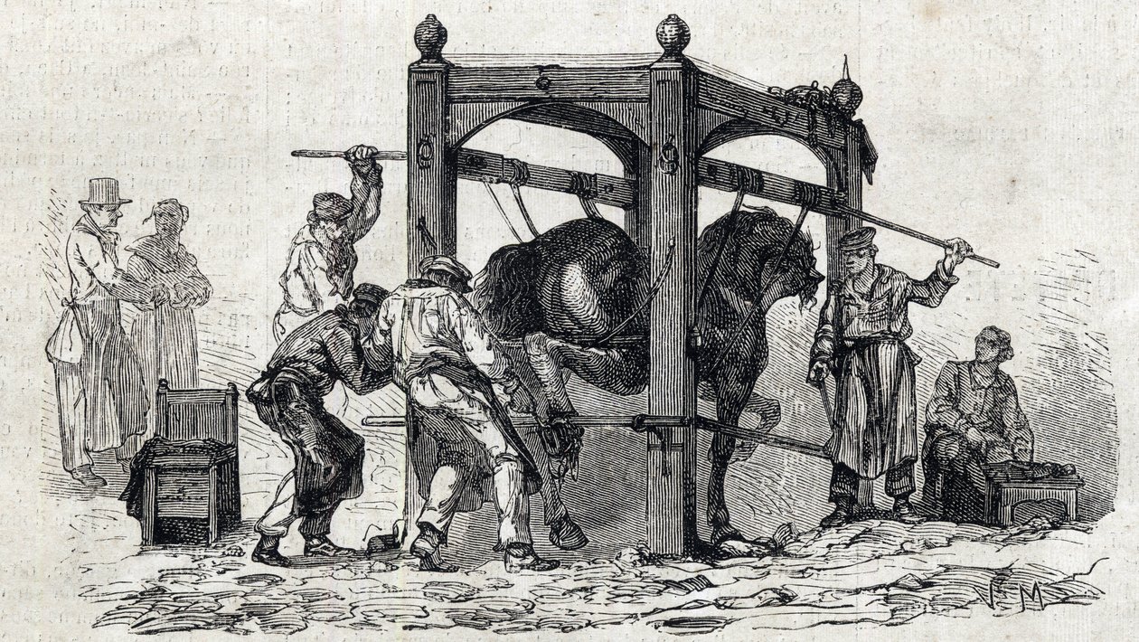 アルフォートの国立獣医学校 - Les grandes écoles de france - école veterinaire de maison alfort en 1866 - le ferrage des chevaux retifs - 1866年の「Le monde illustrious」誌のエングレーヴィング。 作： フランス語学校