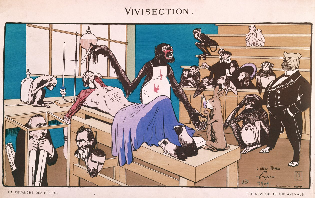 動物の復讐、生体解剖の風刺画、1909 作： フランス語学校