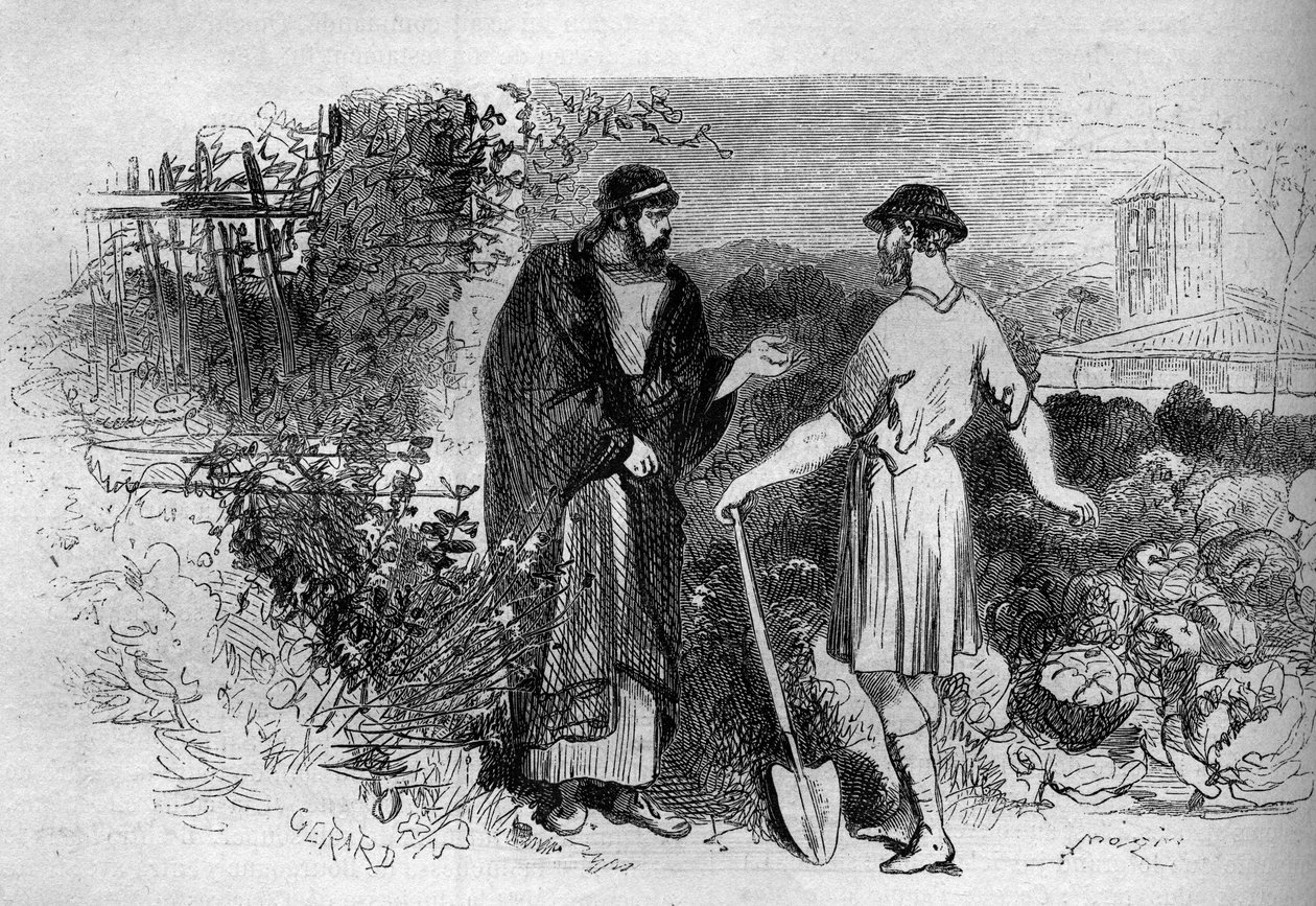 ローマ皇帝ディオクレティアヌス（245-313）のサローネ。 作： フランス語学校