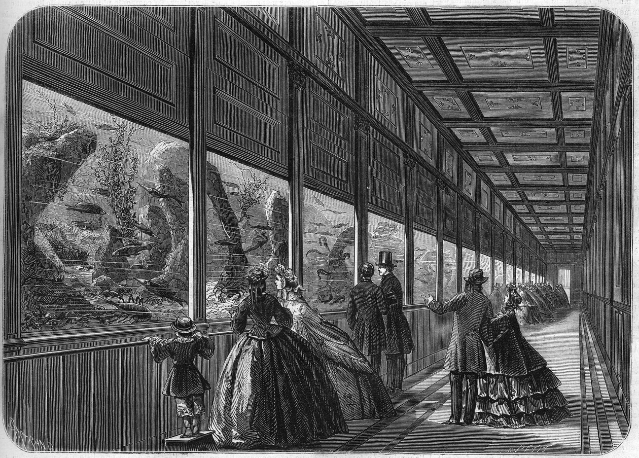 1863年、パリの順化園の水族館。 作： フランス語学校