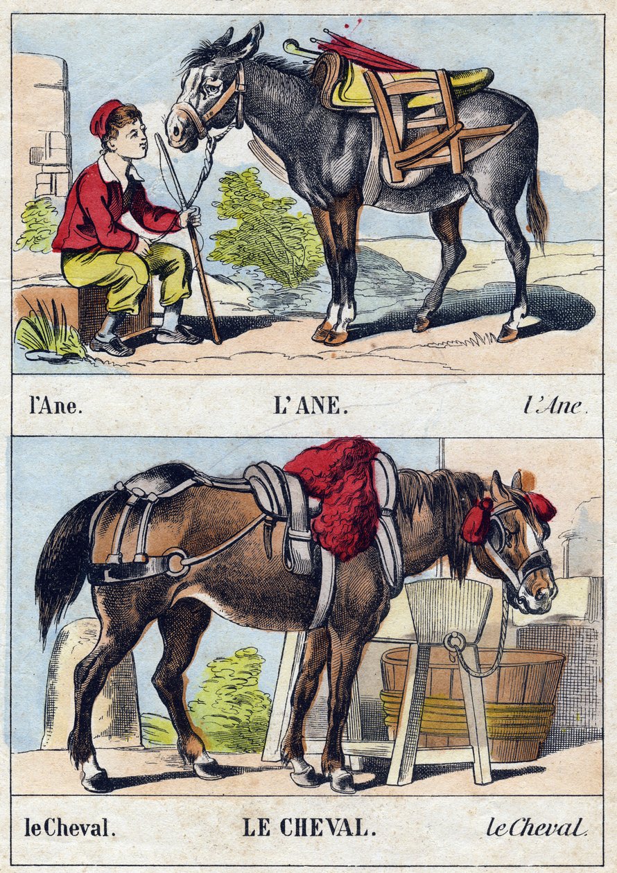ロバと馬。Buffon Alphabet des Animaux "のエングレーヴィング。3rd Series N 1. Imaging of Epinal, Epinal, late 19th century.16ページ。ディム：28x21cm 作： フランス語学校