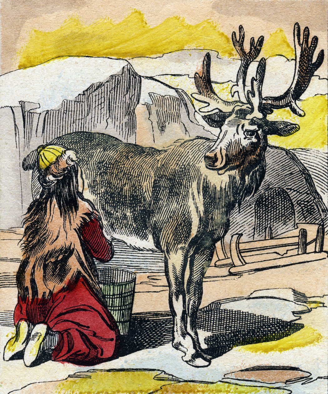 乳を搾られるトナカイ。Buffon Alphabet des Animaux "のエングレーヴィング。3rd Series N 1. Imaging of Epinal, Epinal, late 19th century.16ページ。ディム：28x21cm 作： フランス語学校