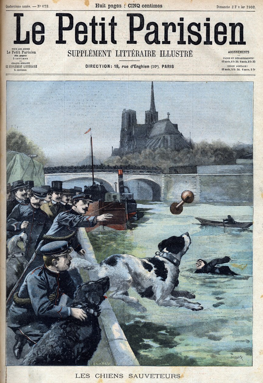 パリのセーヌ川で行われた警察による救助犬の訓練。"Le petit Parisien "に掲載されました。 作： フランス語学校