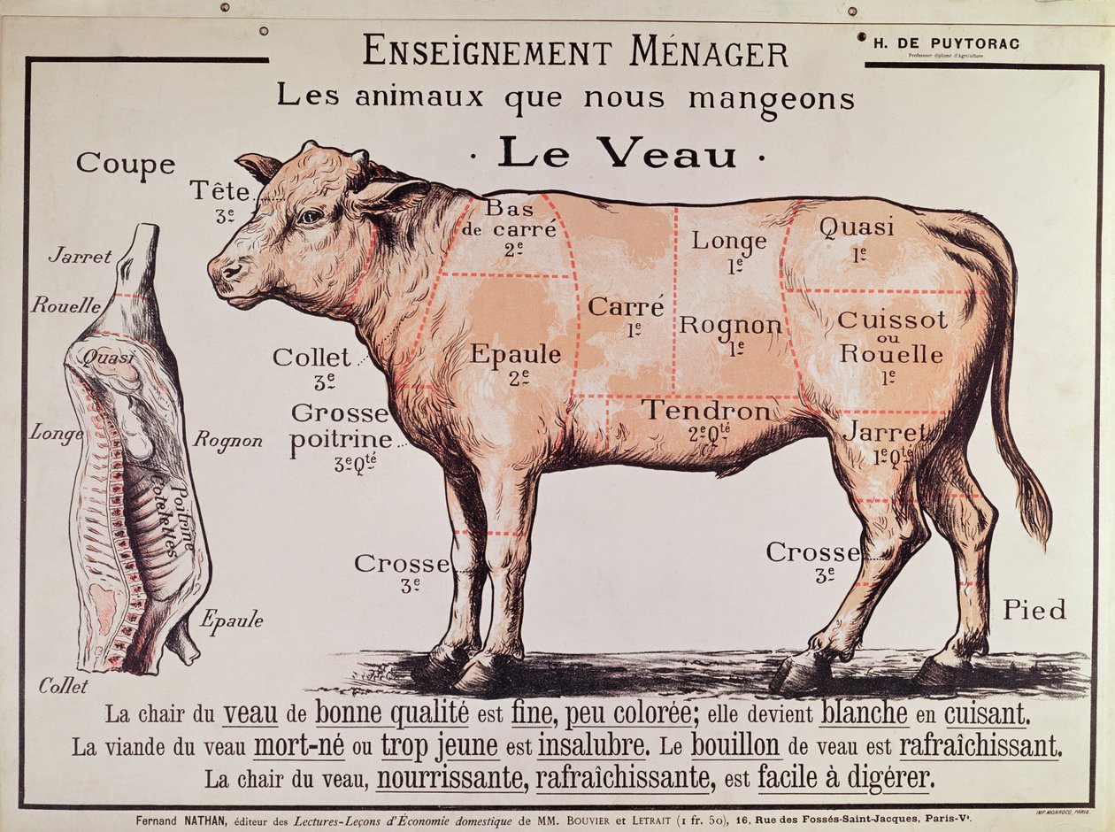 仔牛肉：さまざまな肉の切り身を描いた図 作： フランス語学校