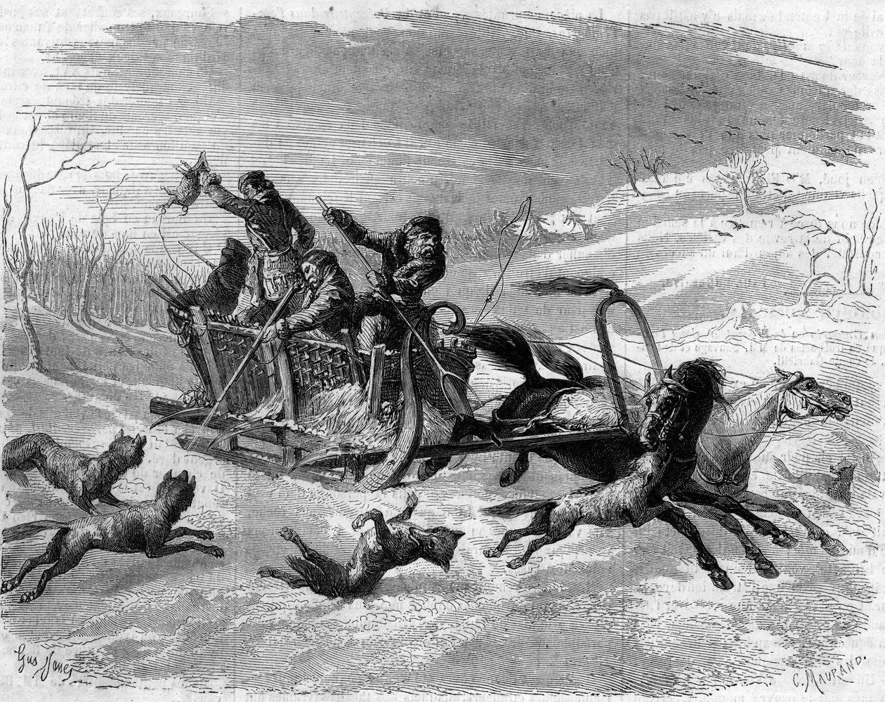 ロシアでのオオカミ狩り 作： フランス語学校