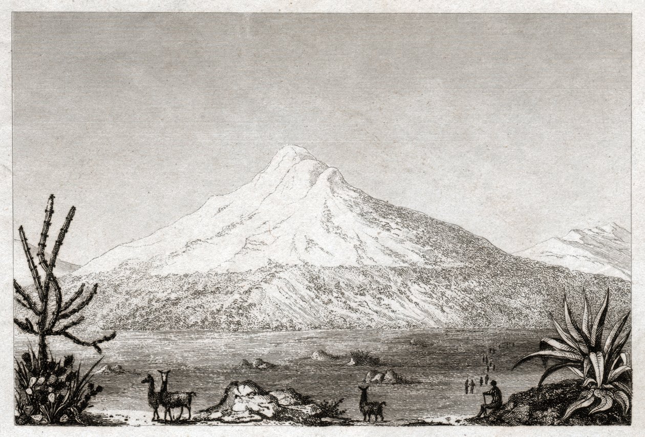 チンボラゾ火山。(エッチング、1840年頃) 作： フリードリヒ・アレクサンダー・バロン・フォン（後）フンボルト
