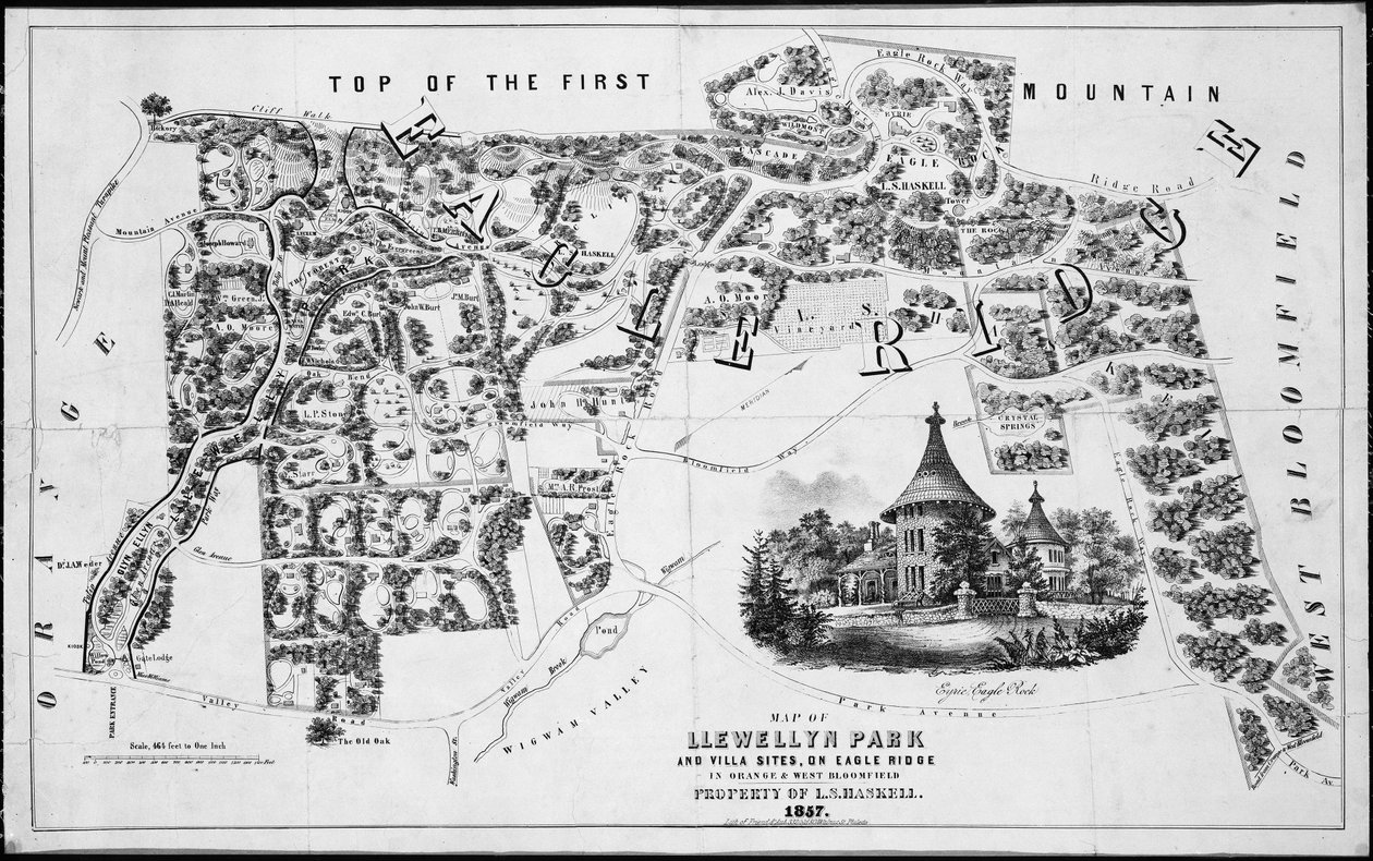 オレンジとウェスト ブルームフィールドのイーグル リッジにあるルウェリン パークとヴィラ サイトの地図、1857 年、1857 年。 作： 友達とオーブ