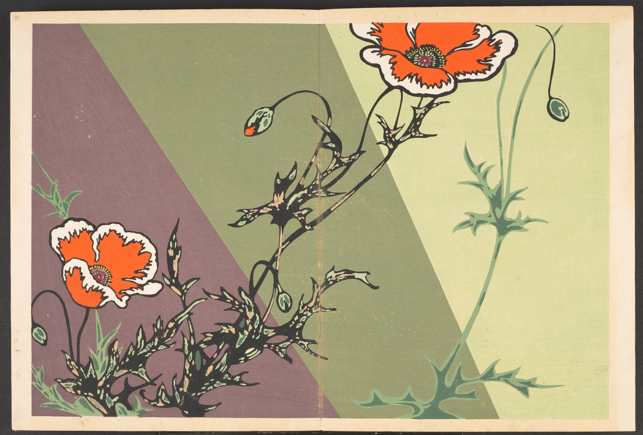 写生草花模様 生命の草花文様 作： 古谷紅麟