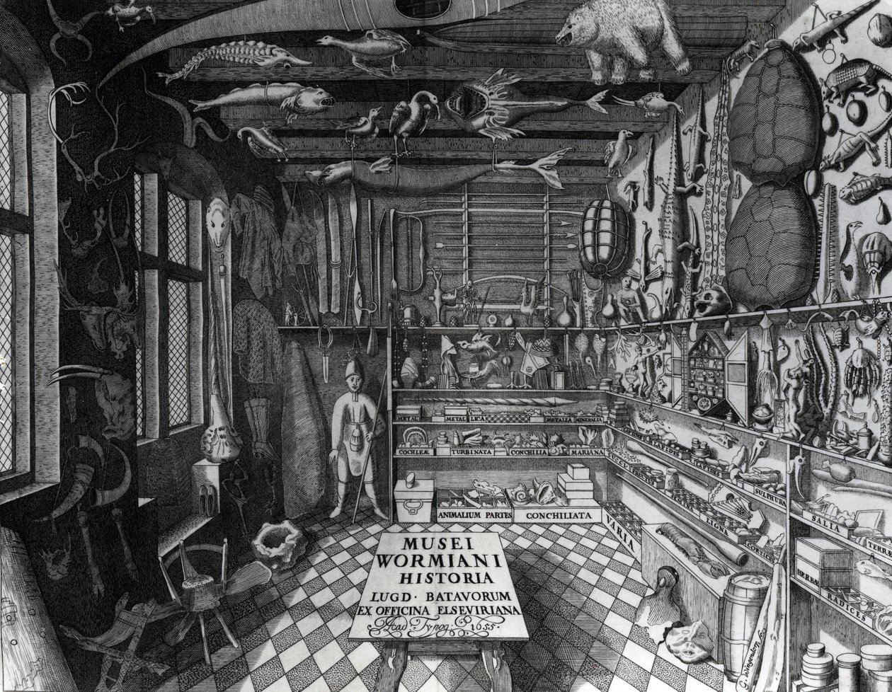 1655年に出版されたOle Wormの「Museum Wormianum」からのOle Wormの好奇心のキャビネットの口絵 作： G.ウィングトープ