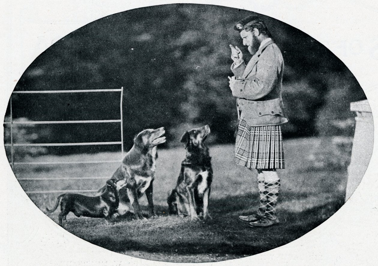 フランシスクラーク氏、クイーンズギリー、お気に入りの犬3匹、c1899、1901 作： GWウィルソンアンドカンパニー