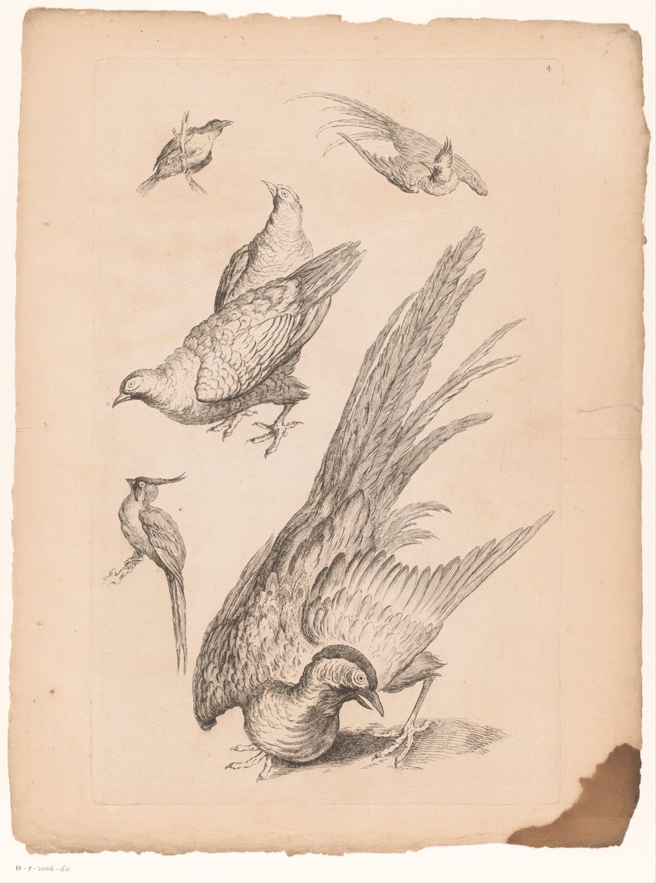 Zes Chinese vogels Verschillende Chinese vogels (シリーズタイトル) 中国のさまざまな種の鳥の本（シリーズタイトル） 作： Gabriel Huquier（に帰属）