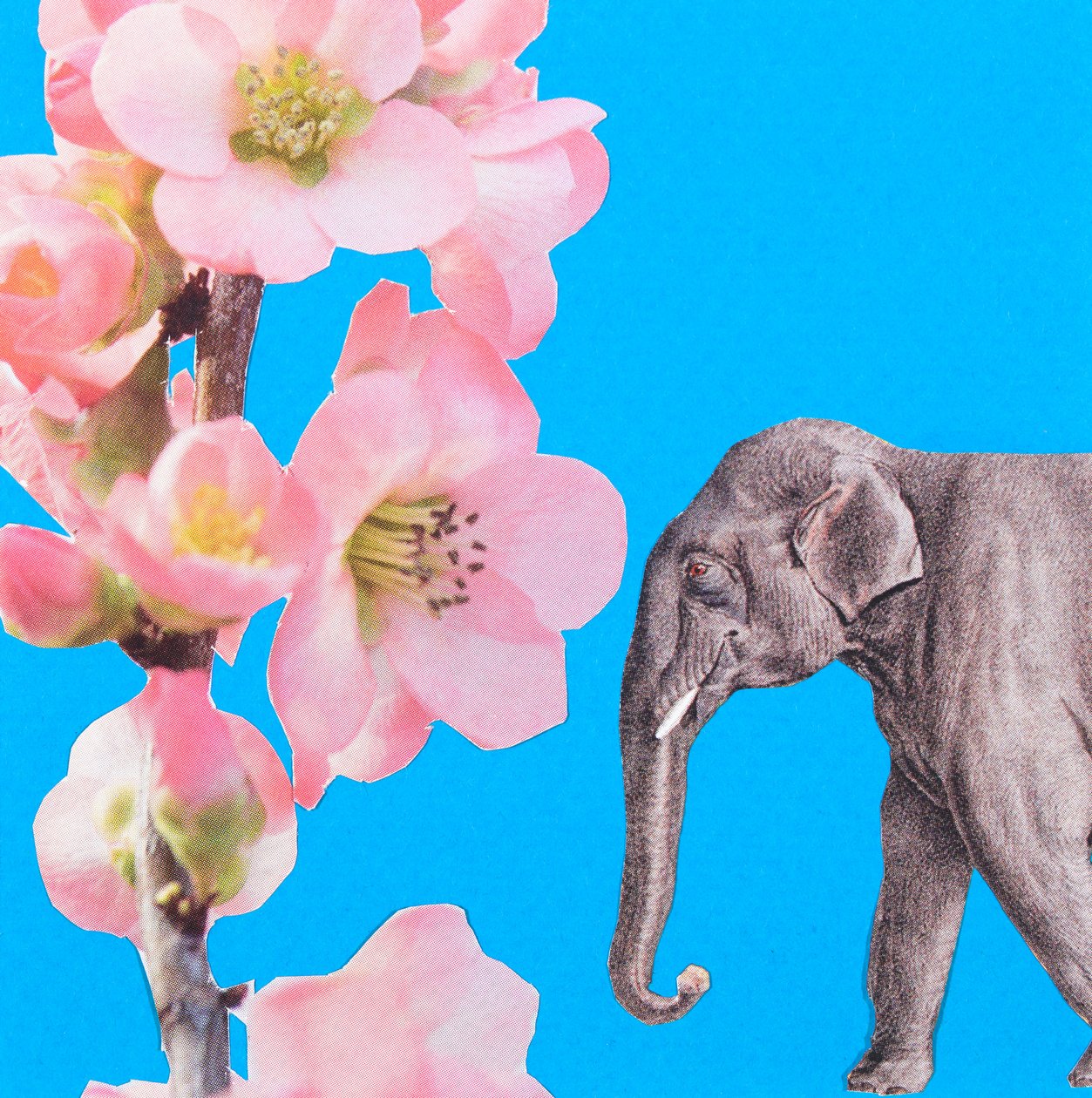 象の花、2018年、コラージュ 作： ジュヌヴィエーブ・フレンチ