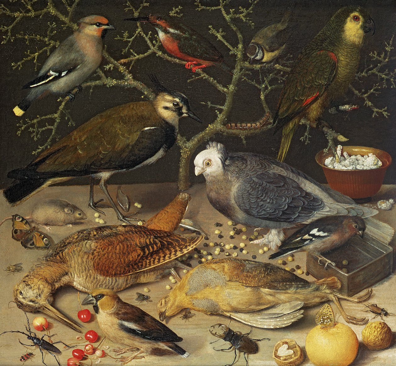 鳥と昆虫の静物、1637 作： ゲオルグ・フレゲル