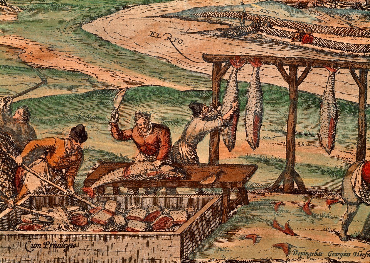 フランツ・ホーゲンベルグによるマグロの処理（1540年頃～1590年頃）、ゲオルク・ブラウン（1541～1622）とフランツ・ホーゲンベルグ（1540年頃～1590年頃）による「Civitates Orbis Terrarum」の一場面 作： フラン