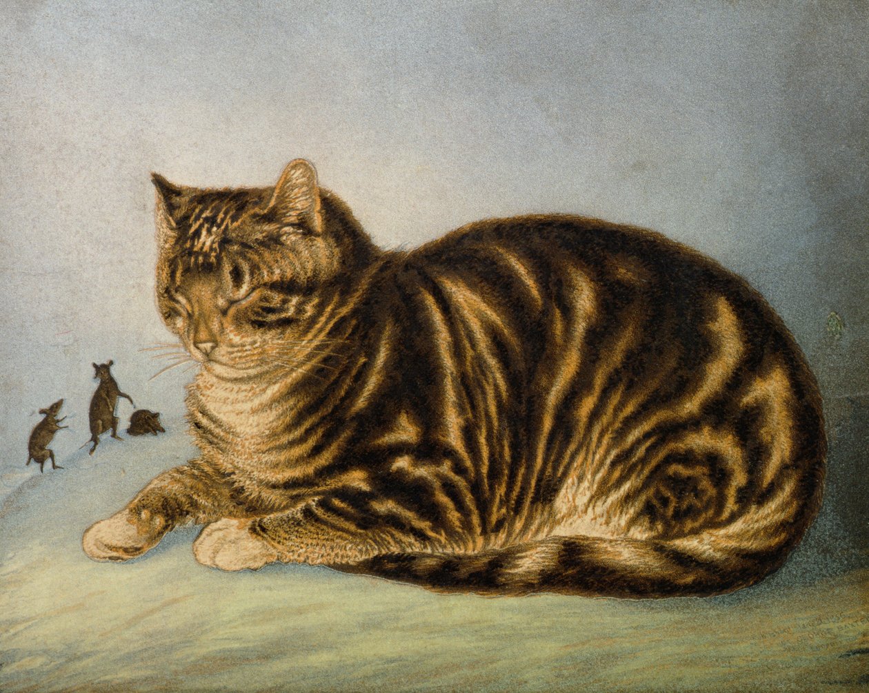 猫の昼寝（印刷） 作： ジョージ・バクスター