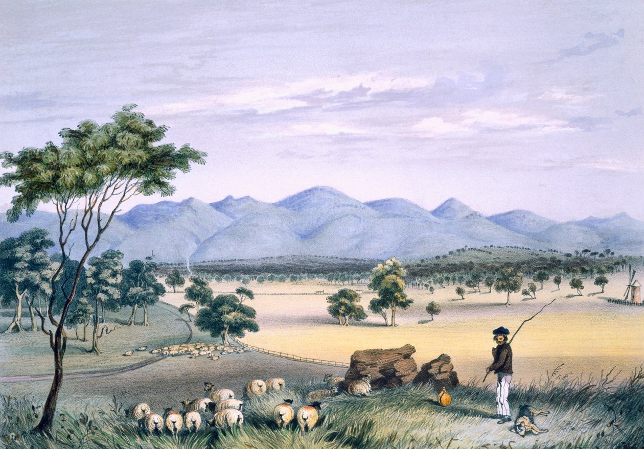 1847年に出版された「南オーストラリア図解」からのバロッサ山脈に向かっているLynedoch渓谷（手彩色の彫刻） 作： ジョージフレンチアンガス