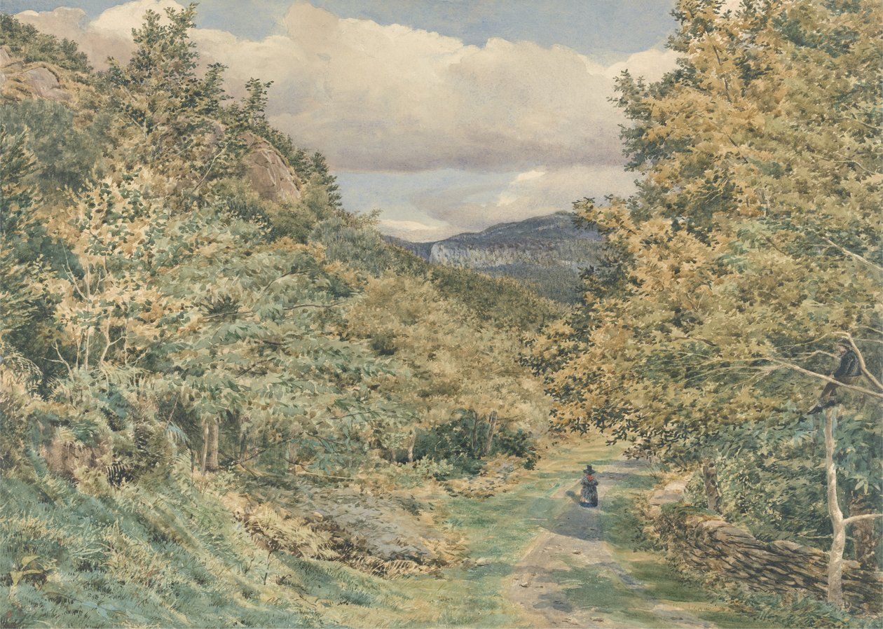 Bettws-y-Coed、1851（紙の黒鉛の上にトイレ）の近くの道路 作： ジョージプライスボイス