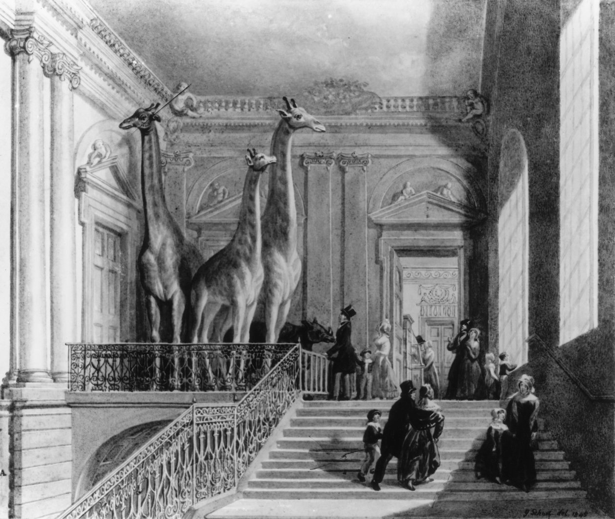 大英博物館の階段にあるキリン、1845年（ペンとインク、紙にトイレ） 作： ジョージ・スナー・シャープ