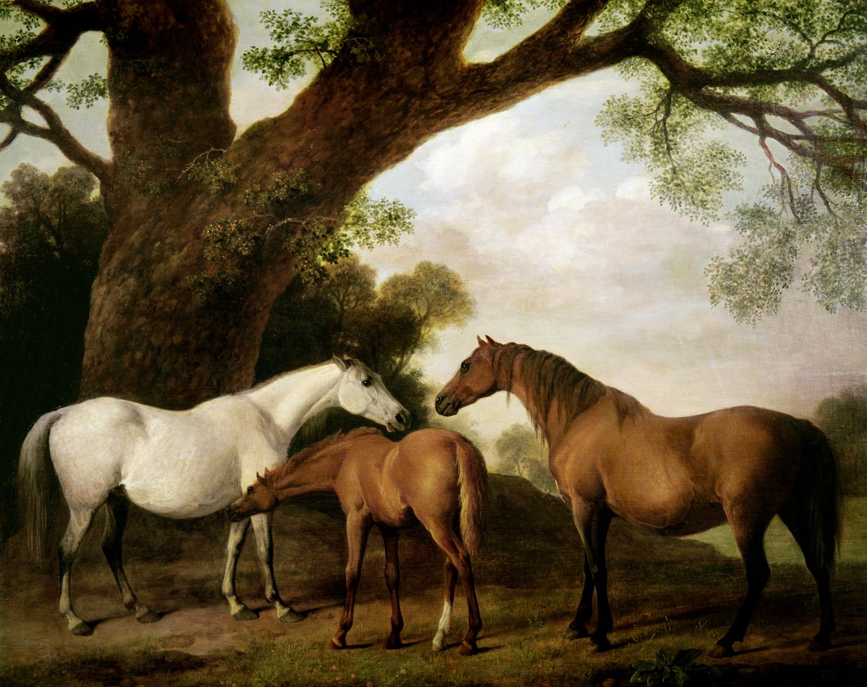 2頭のシャフト馬と子馬、1774 作： ジョージ・スタッブス