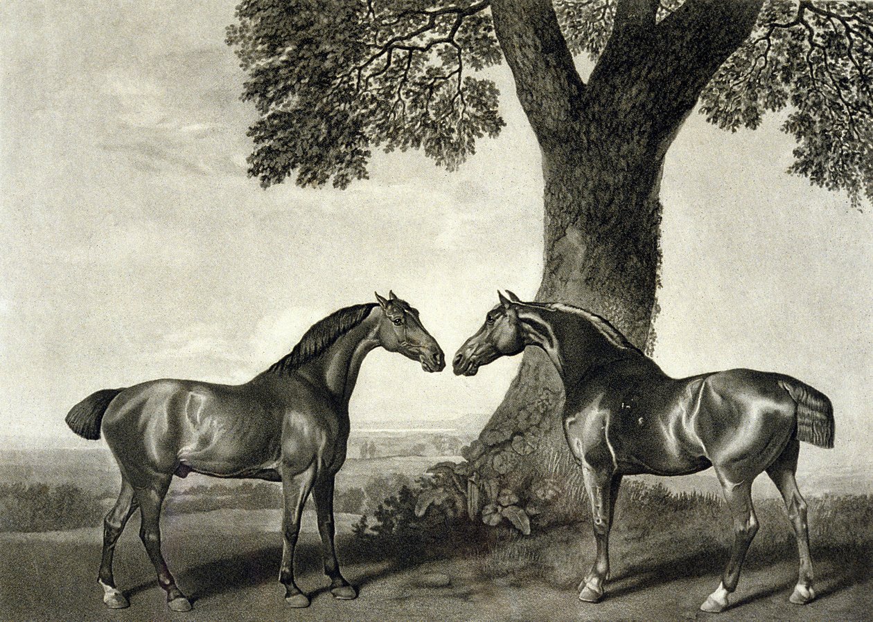 G.T.スタッブス（bap.1748-c.1815）が彫った「二人の狩人」（リトグラフ）（266802も参照）。 作： ジョージ（後）スタッブス