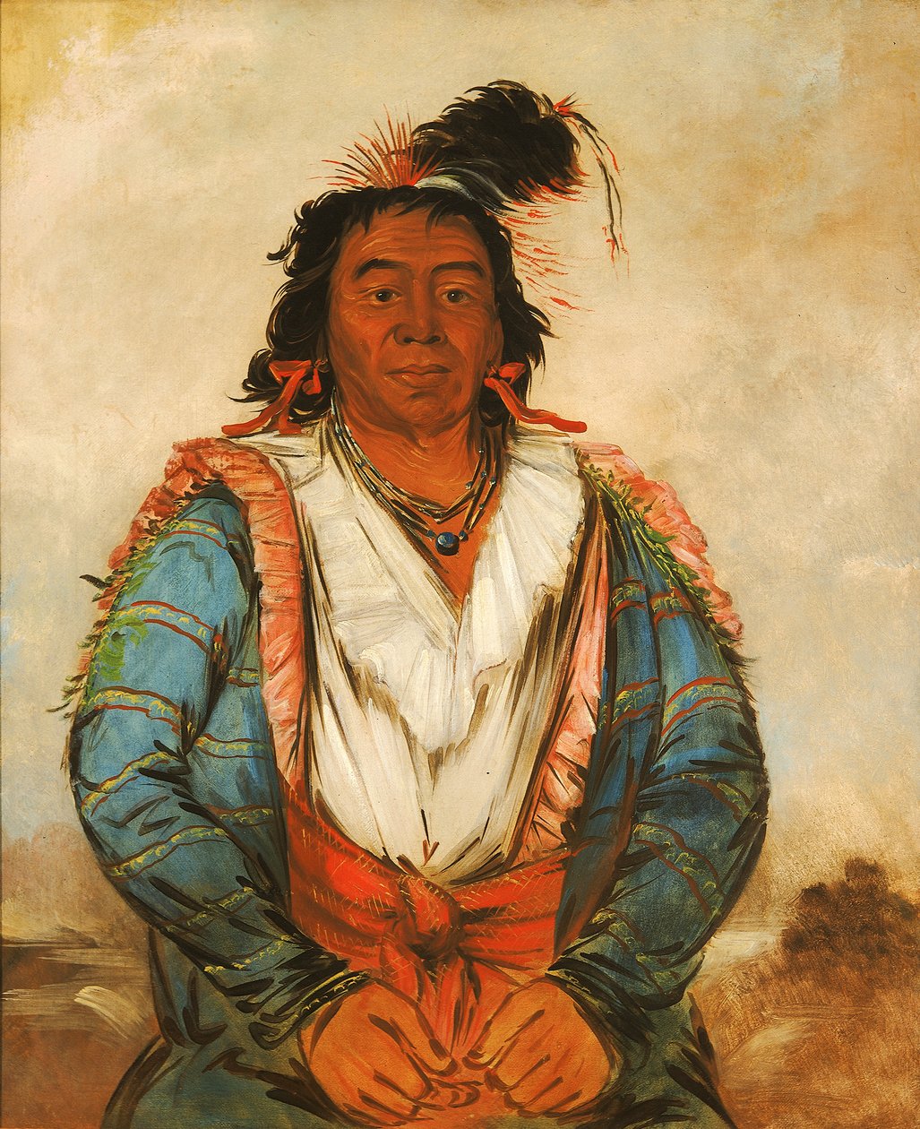 1834年、勇敢なホースプトゥオカウジー。 作： ジョージ・カトリン