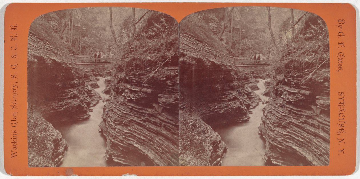 ワトキンス・グレンの風景、シャドウ・ゴージ、1860年頃。1860年（写真） 作： ジョージF.ゲイツ