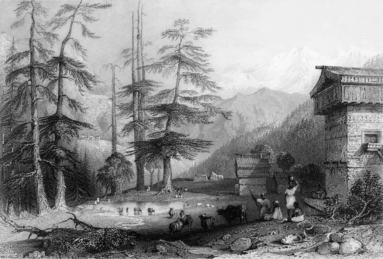 「チョール近くのコゲラとデオダーの森の村」、1838年。 作： ジョージフランシスホワイト
