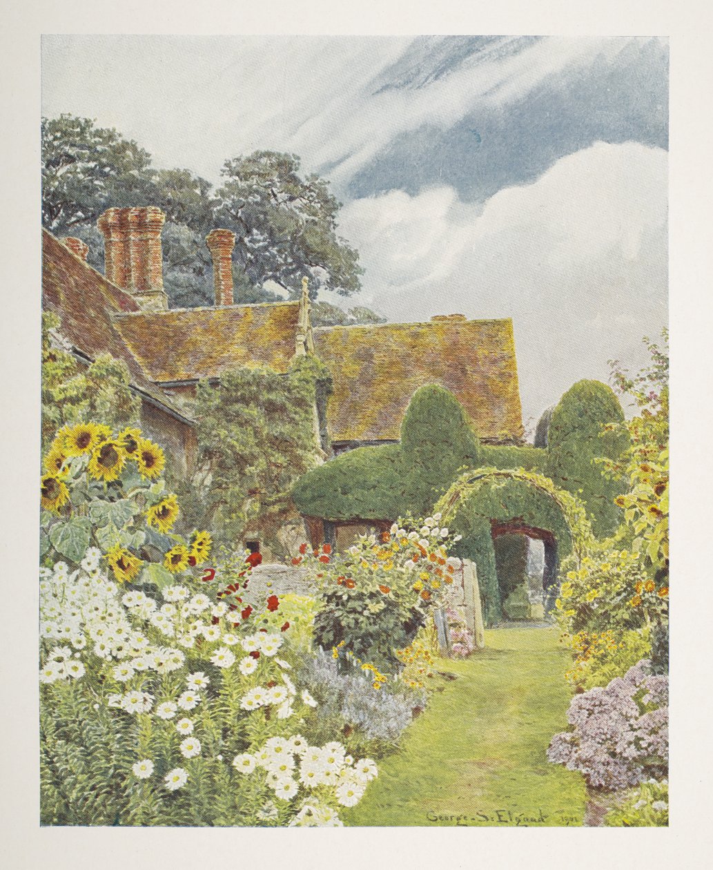 クリーブ プライア、ヒマワリ、「Some English Gardens」のイラスト、George S. Jekzel Elgood & Gertrude Jekyll 作 作： ジョージ・サミュエル・エルグッド
