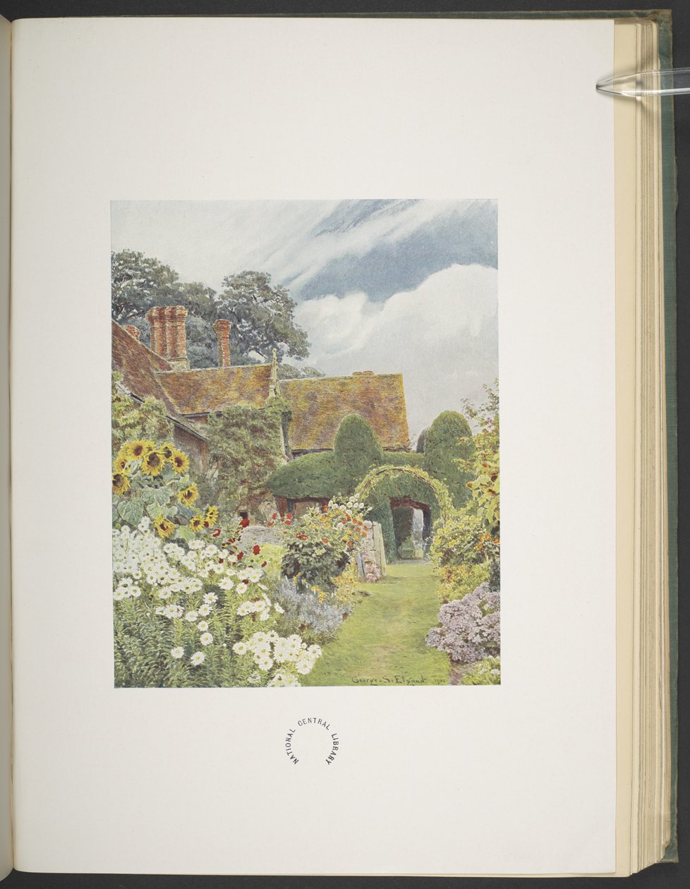 クリーブ プライア、ヒマワリ、「Some English Gardens」のイラスト、George S. Jekzel Elgood & Gertrude Jekyll 作 作： ジョージ・サミュエル・エルグッド