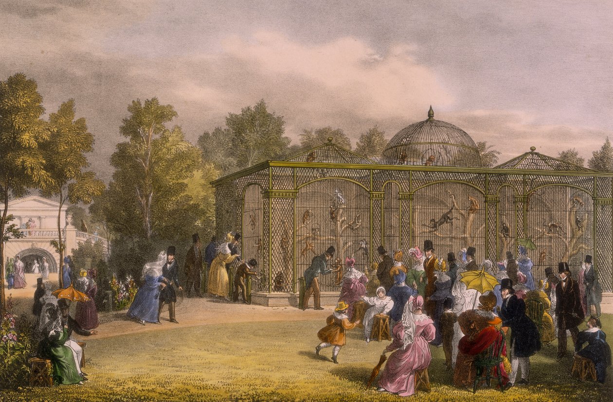 動物園のモンキー ハウス、リージェンツ パーク、ロンドン、1835 年。 作： ジョージ・シャーフ