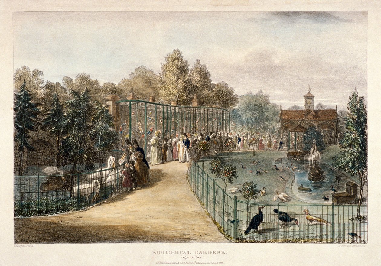 動物園、リージェンツ パーク、ロンドン、1835 年 作： ジョージ・シャーフ