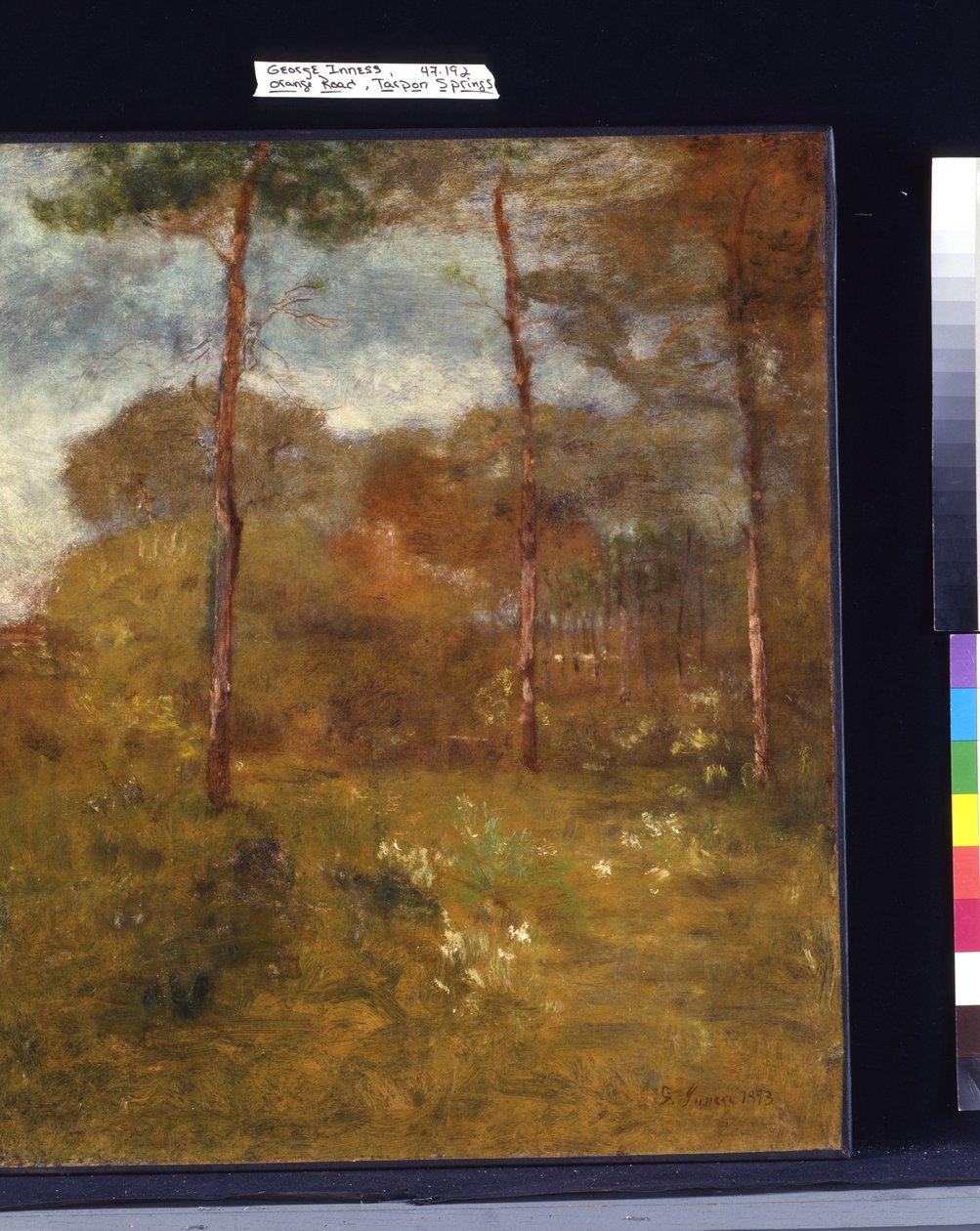 Orange Road, Tarpon Springs (oil on canvas)   1451212   ja       japanese Successfully Translated  Original: Landscape at Saint-Remy (The Plouged Field) (oil on canvas) Translat: Landscape at Saint-Remy (The Plouged Field) (oil on canvas) 1452884 ja japane 作： ジョージ・シニアインネス