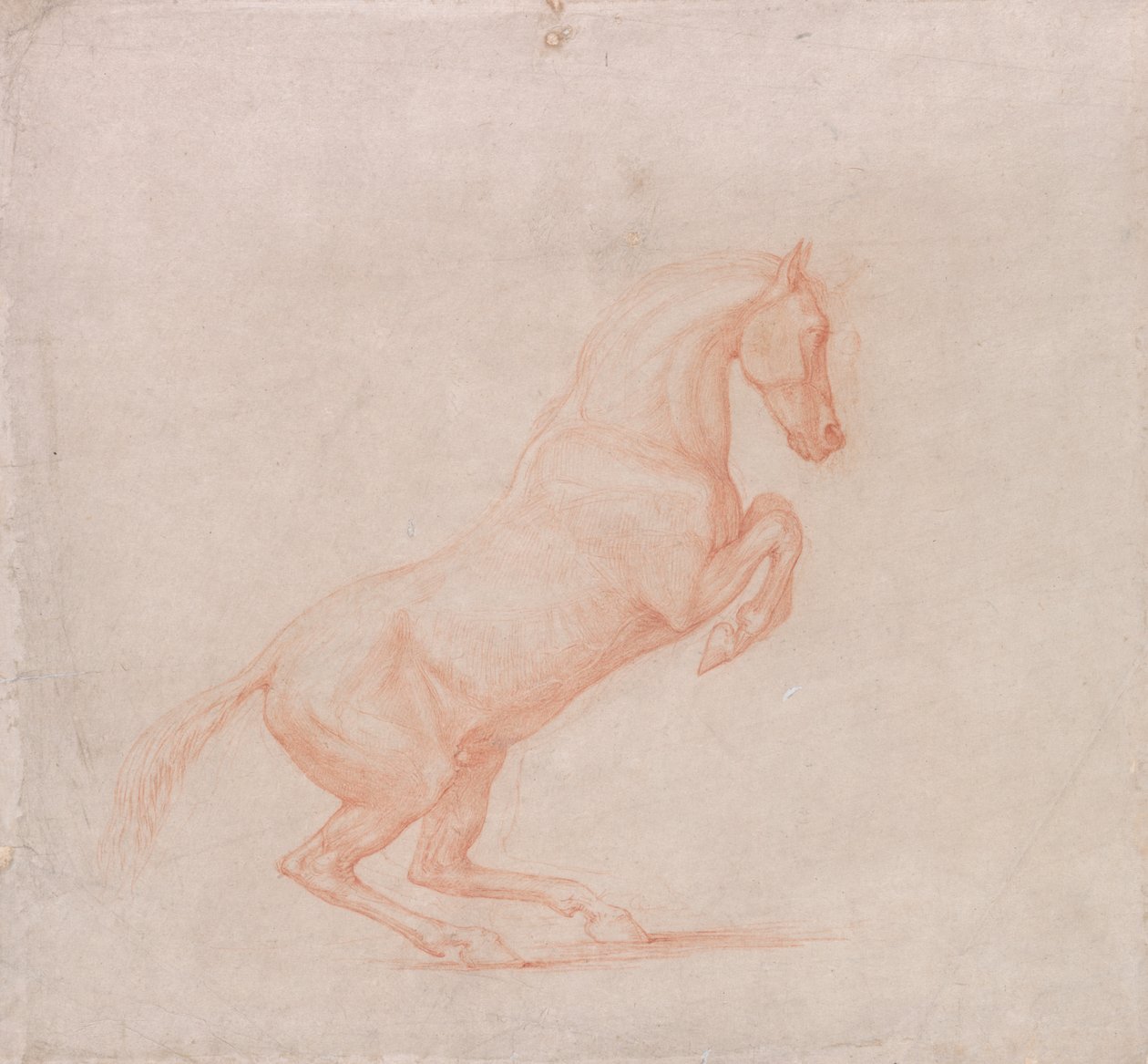A Prancing Horse, Facing Right   1445912   ja       japanese Successfully Translated  Original: Vandal War: “” The surrender of the King of the Vandals Gelimer kneels before the Byzantine General Belisaire (500-565) in March 534, Carthage, Africa” (Vandali 作： ジョージ・スタッブス